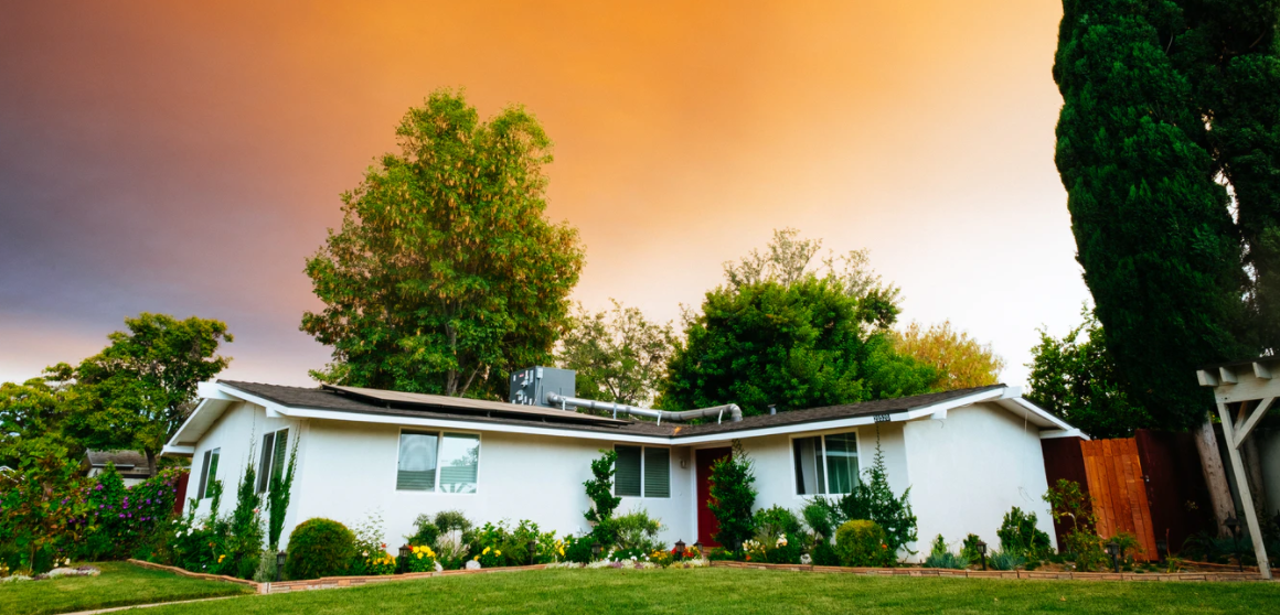 home tree removal