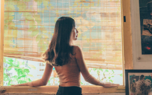 window blinds